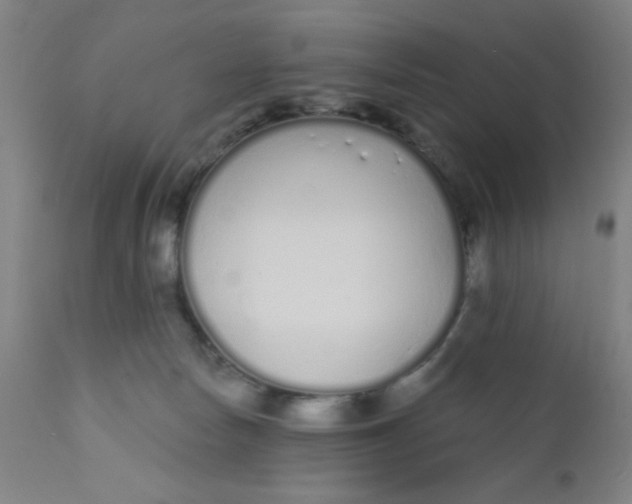 X0000110720178200907022055