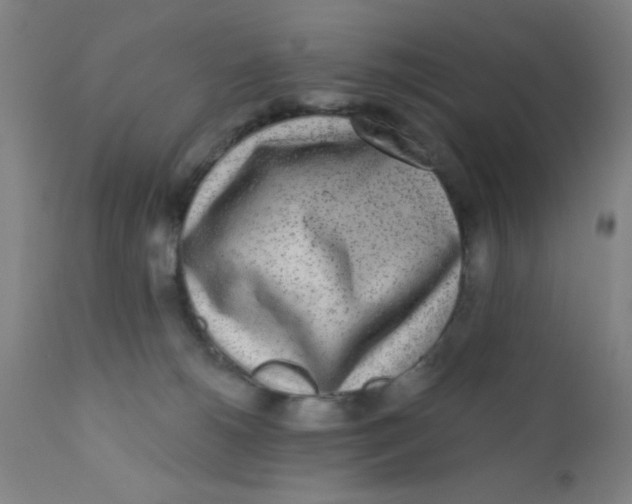 X0000110720180200907022055