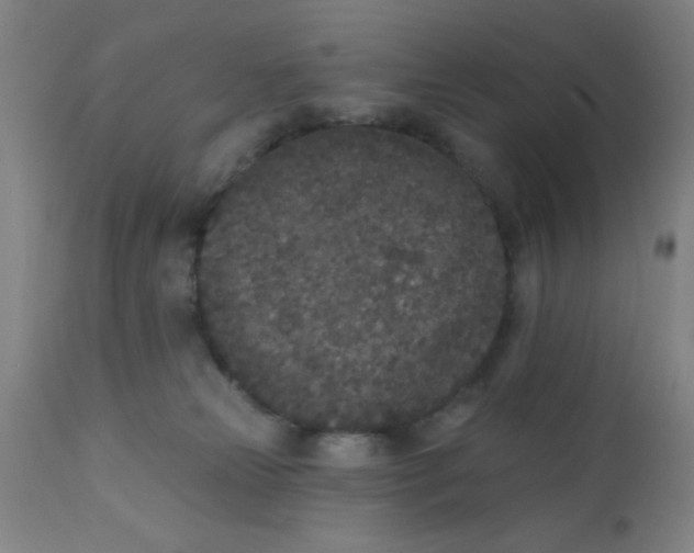 X0000110720181200907022055