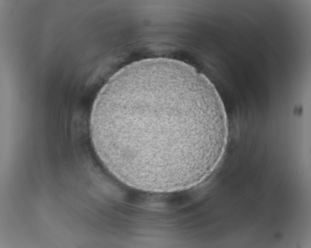 X0000110720182200907022055