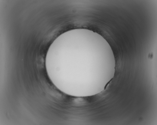 X0000110720183200907022055