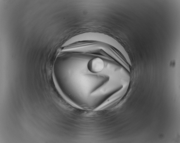 X0000110720186200907022055