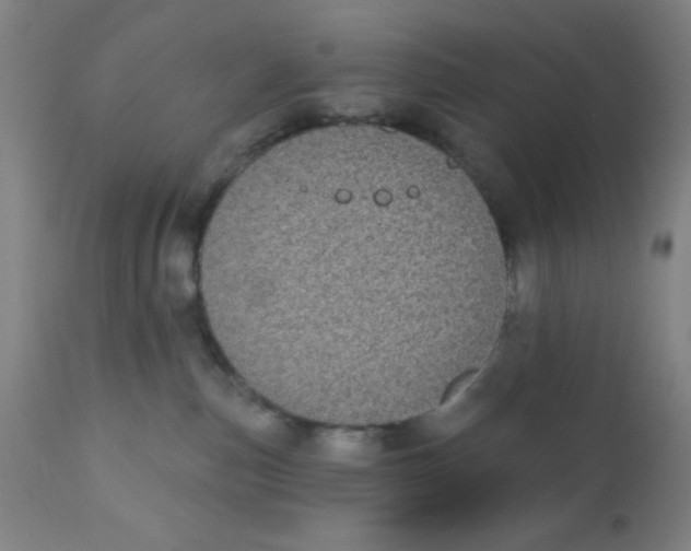 X0000110720187200907022055