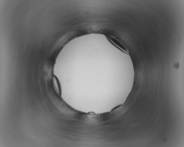 X0000110720188200907022055