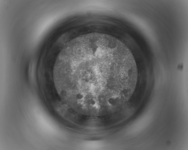 X0000110720189200907022055