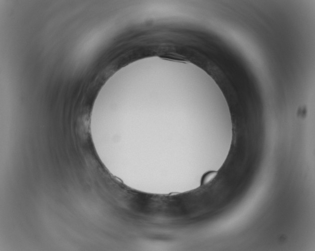 X0000110720190200907022055