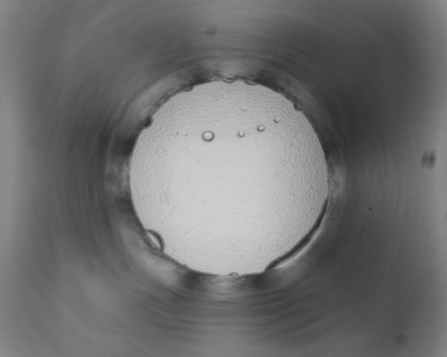 X0000110720191200907022055