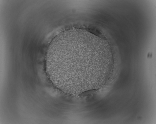 X0000110720192200907022055