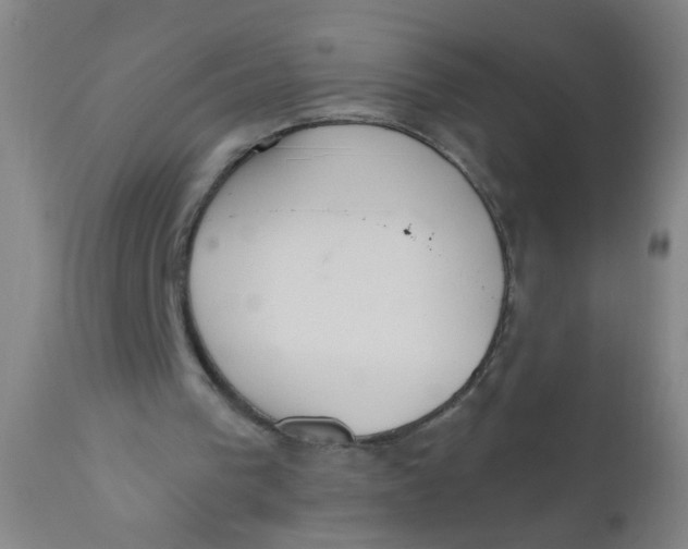 X0000110720193200907022054