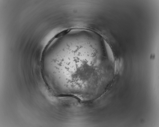 X0000110720195200907022054