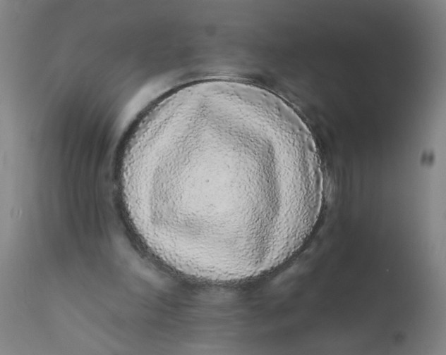 X0000110720198200907022054