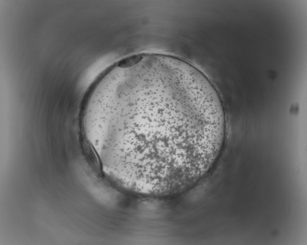 X0000110720199200907022054