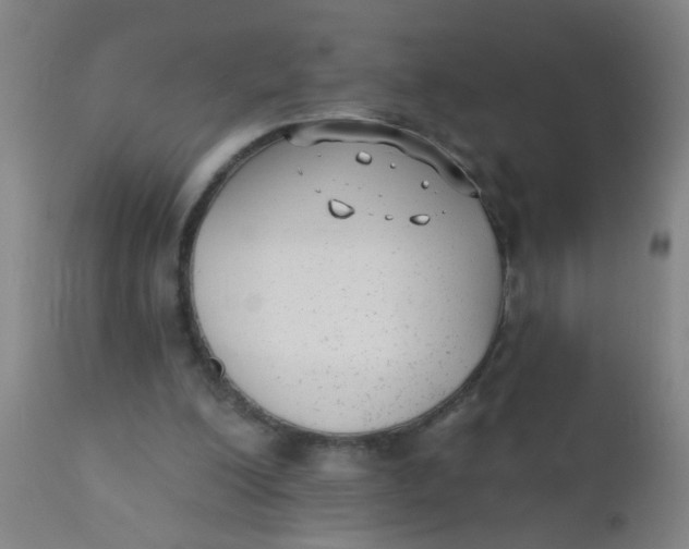 X0000110720200200907022054