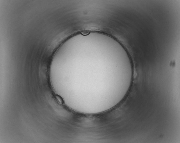 X0000110720201200907022054