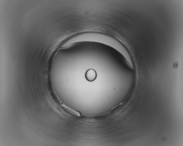 X0000110720203200907022054