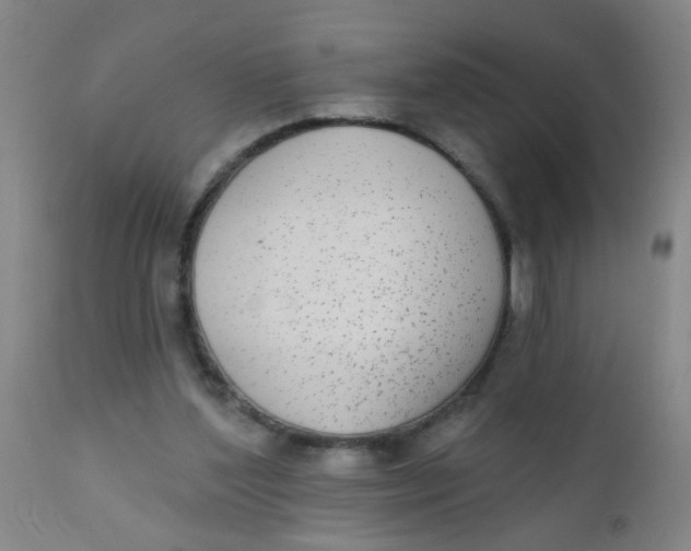 X0000110720204200907022054