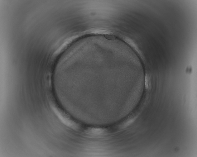 X0000110720205200907022054