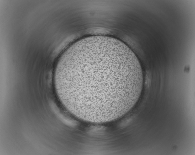 X0000110720206200907022054