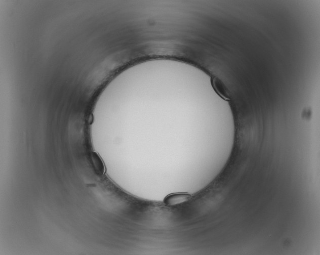 X0000110720207200907022054