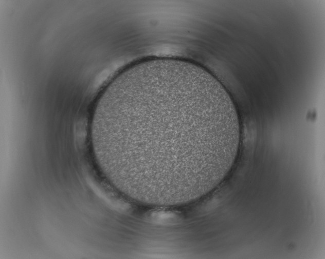 X0000110720208200907022054