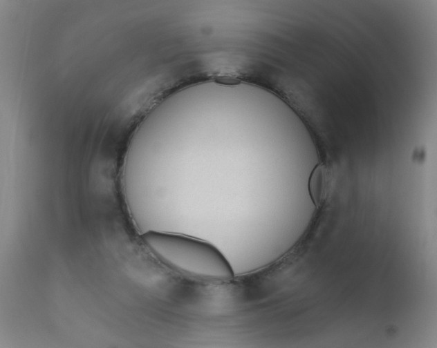 X0000110720209200907022054