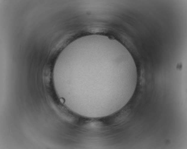 X0000110720210200907022054