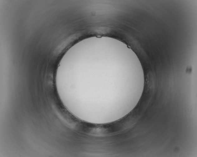 X0000110720212200907022054