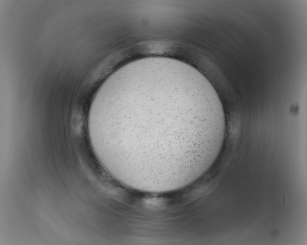 X0000110720216200907022054