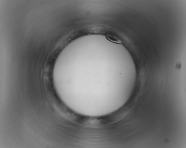 X0000110720217200907022054