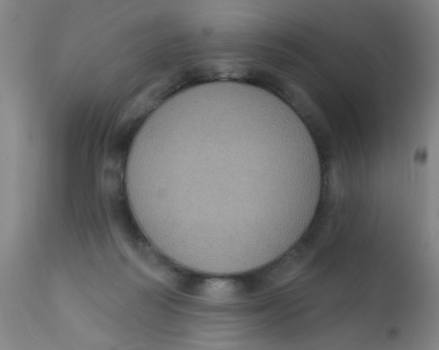 X0000110720218200907022054