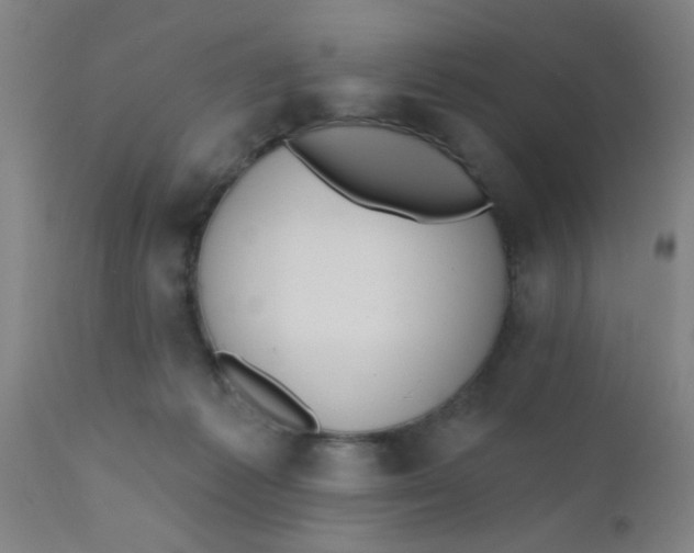 X0000110720221200907022054