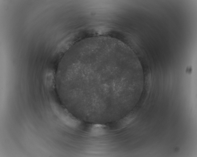 X0000110720222200907022054