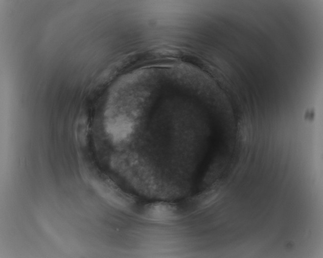 X0000110720223200907022054