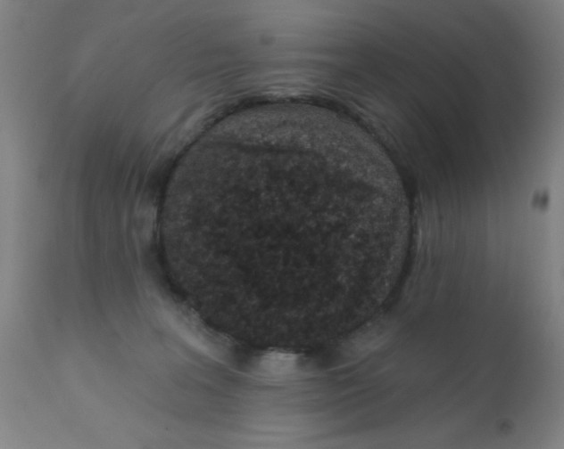 X0000110720227200907022054