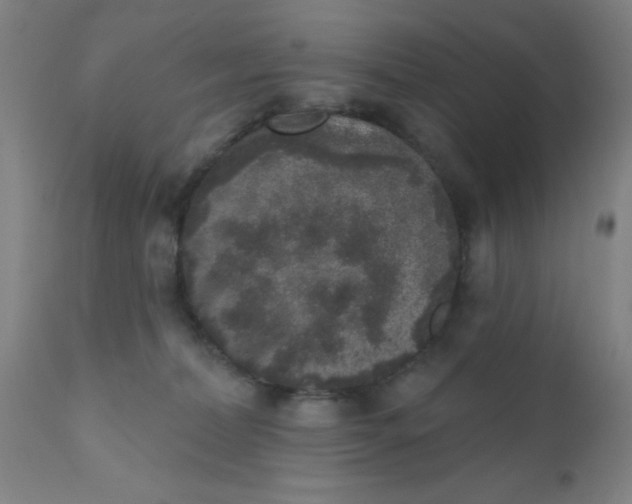 X0000110720228200907022054