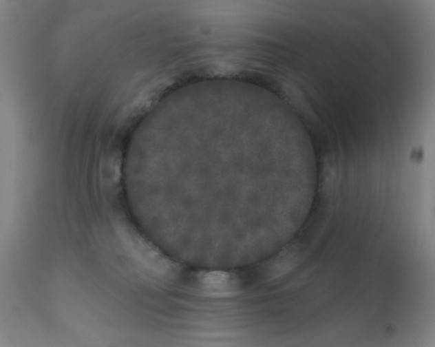 X0000110720230200907022054