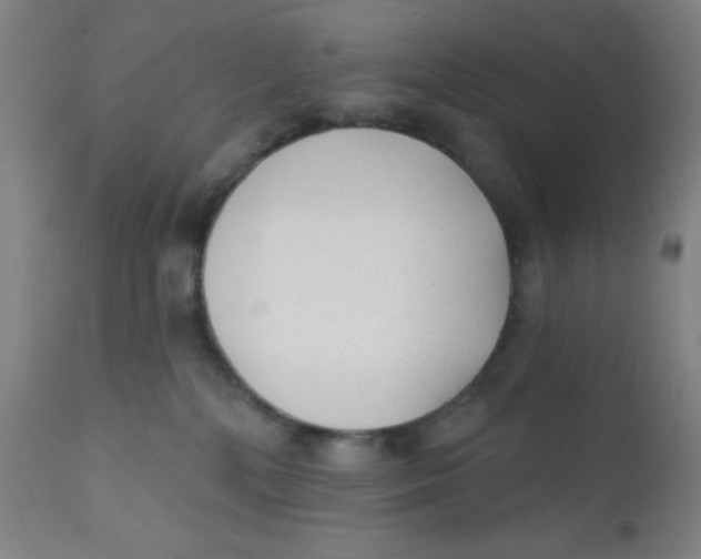 X0000110720232200907022054