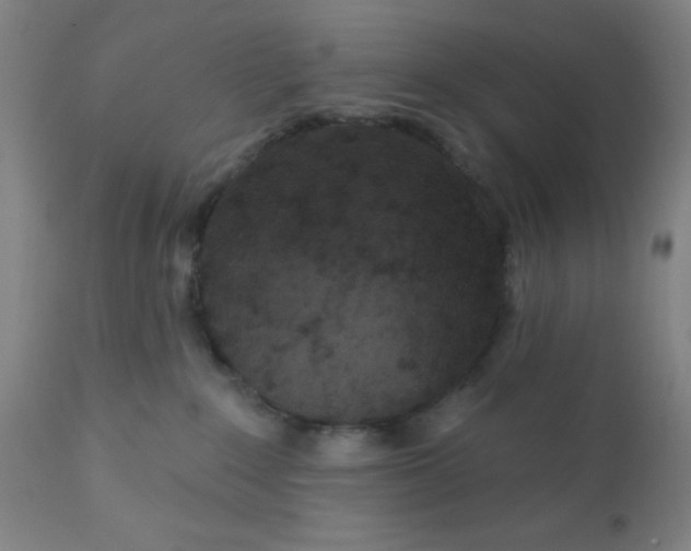 X0000110720235200907022054