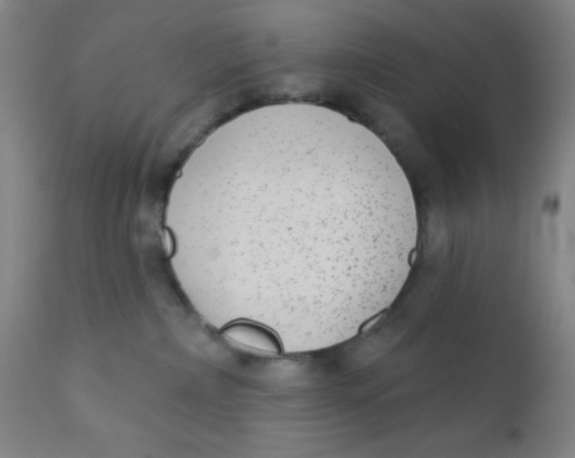 X0000110720236200907022054