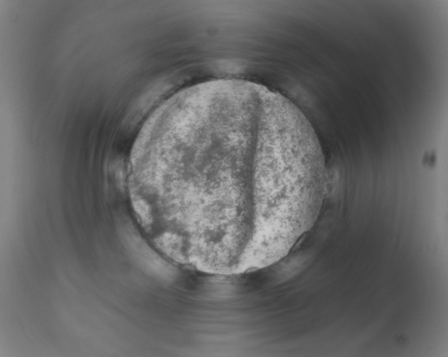 X0000110720238200907022054