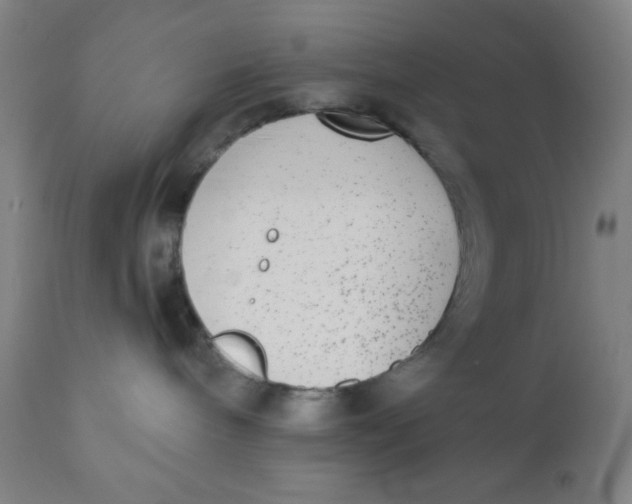 X0000110720240200907022054