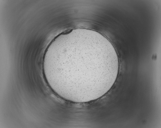 X0000110720241200907022053