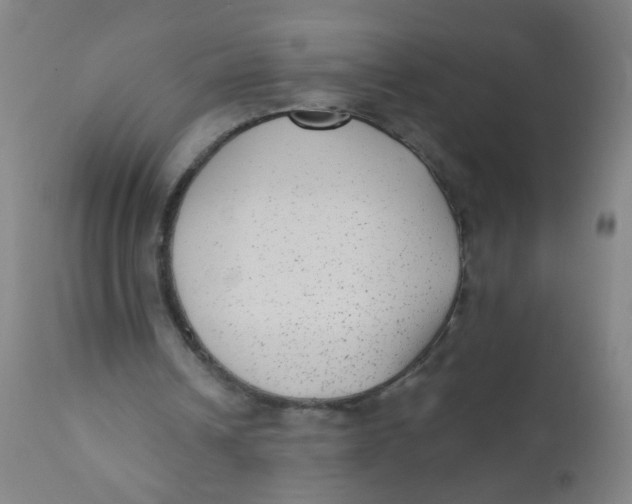 X0000110720242200907022053