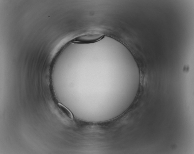 X0000110720244200907022053