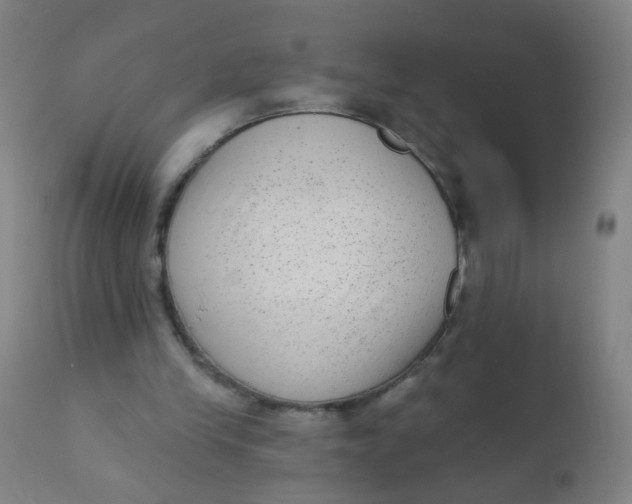 X0000110720245200907022053