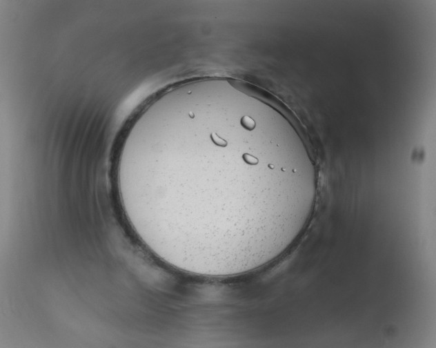 X0000110720246200907022053