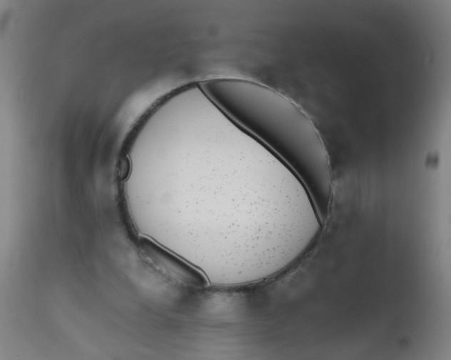 X0000110720248200907022053