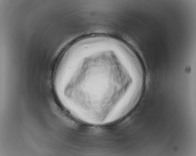 X0000110720249200907022053