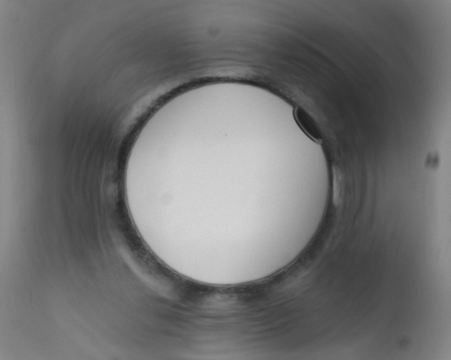 X0000110720252200907022053