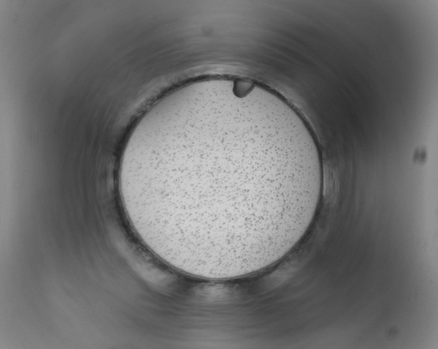 X0000110720253200907022053